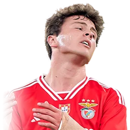 주앙 네베스 카드 이미지